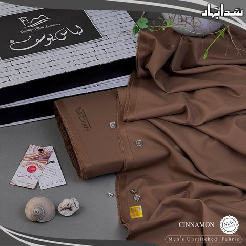 SADA BAHAR Wash N Wear | Executive Men Winter Collection